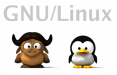 cursu ubuntu 1
